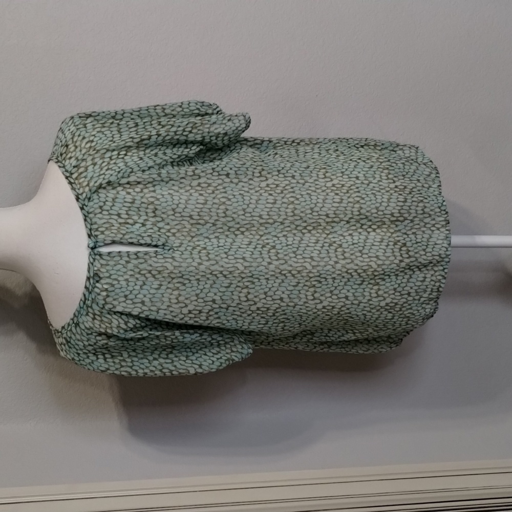CAbi Blouse 602 Size Medium Pebble Blue Green Print Sheer Flowy Shirt Sleeve - Picture 7 of 12
